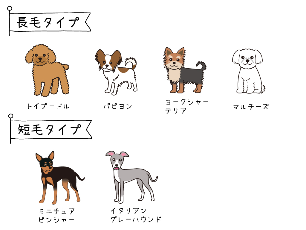 犬の換毛期に知っておきたいお手入れ方法と抜け毛対策 Nanairo