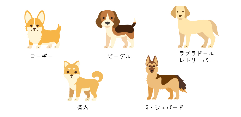 短毛種の犬も抜け毛は多い ブラッシングのやり方やブラシ選び Nanairo