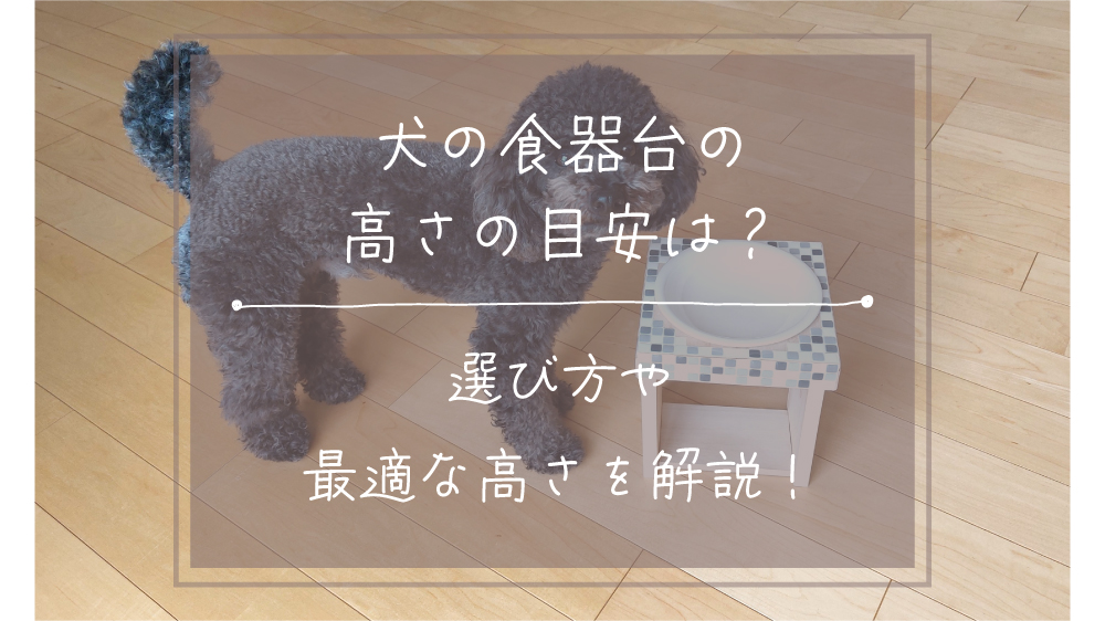 犬 人気 食器 台 高 さ